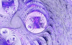 2014 04 26 Evening Plastic 39-white.jpg